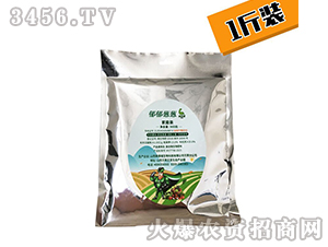 �����[�[-������-�W�¸�