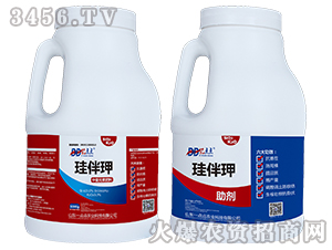 ����Ԫ�ط���-����w-�|�c�c