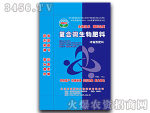 ��(f��)��΢�������-��ķ˹��