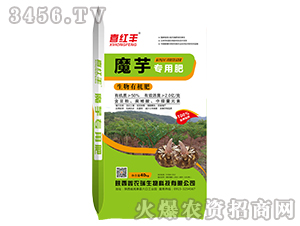 ħ���������ЙC(j��)��-ϲ�t�S-���r(n��ng)��