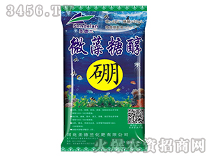 ΢���Ǵ���-ʥ���m