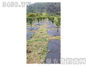 ���@���ݲ�-����