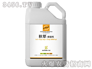 �����}���}�ʣ�-���-�в�