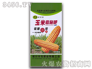 玉米追施肥-豐農(nóng)肥業(yè)