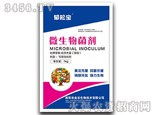 ΢�������-���Ɍ�-�������