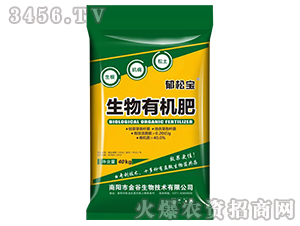 �����ЙC(j��)��-���Ɍ�-�������