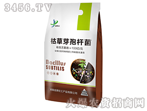 �ݲ�ѿ�ߗU��-���ƻ���