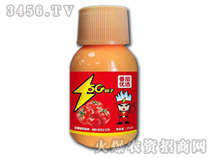 �~���-���у�(y��u)�x-���r(n��ng)����