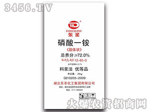 ����һ�@-�|ʥ����