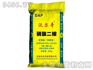 ������@-�֠���-�|ʥ����