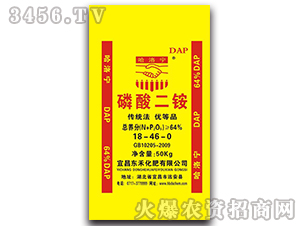 ������@-���匎-�|ʥ����