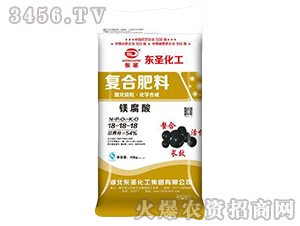 �V�����(f��)�Ϸ���-�|ʥ����