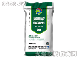 42%�����䷽��-�ȱ��f�@