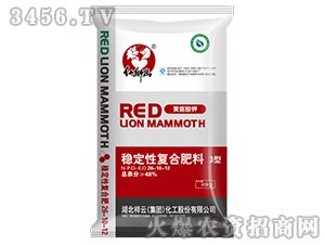 ��(w��n)���ԏ�(f��)�Ϸ���26-10-12-�t�{��-����