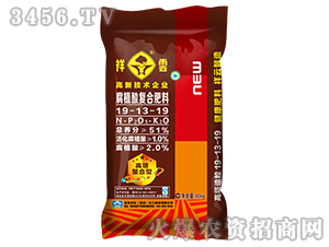 51%��ֲ��ͺϷ���19-13-19-����