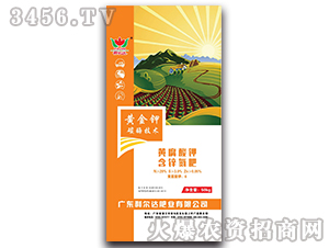 �S����⛺��\����-�����_