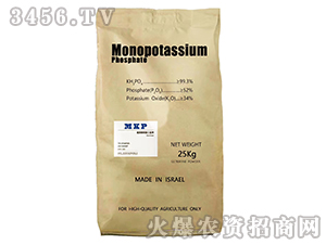 ��΢����������-��(sh��)��ֲ��