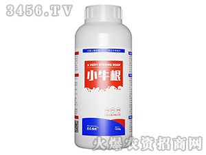 Сţ��-����ֲ��