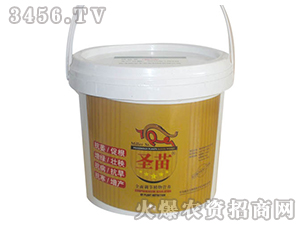 ˮ���ؾ��z���׷�-ʥ��-���r(n��ng)����