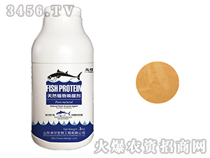 ��Ȼֲ��ф�-��ĸ��-׿������