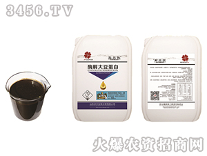 ø��󶹵���-׿������