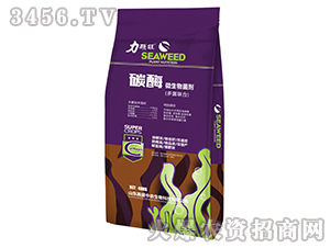 ̼ø΢������������(li��n)�ϣ�-���w��-��ʢ���r(n��ng)