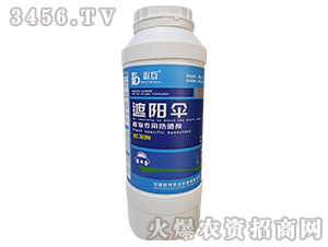 ��ꖂ㣨ֲ��÷��񄩣�-�ػ�-�Y�����