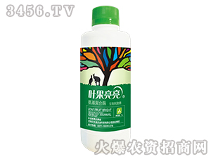 ������-�~������-�����ۺ�ø����̼���