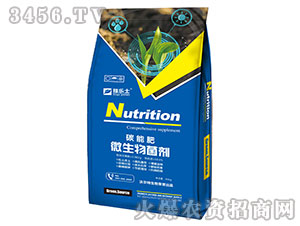 ΢�������̼�ܷ�-�ژ�ʿ-�֠���