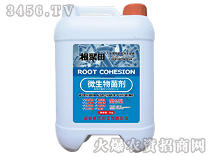 ΢�������-������-���ϻ���