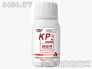 ����⛣�260g��-������