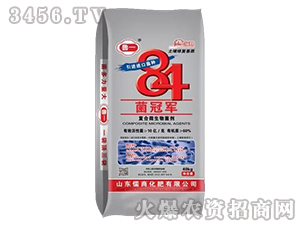 84����܊΢�������-��һ-����