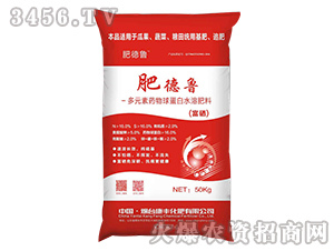 ��Ԫ��ˎ���򵰰�ˮ�ܷ���-�ʵ���-���S����