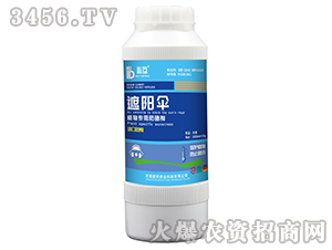 ��ꖂ㣨ֲ��÷��񄩣�-�ػ�-�W���r(n��ng)�I(y��)