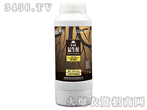 �������������T��(d��o)�̼��أ�-�ػ�-�W���r(n��ng)�I(y��)