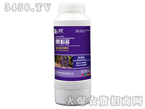 �����{(l��n)ݮ���۶�-�ػ�-�W���r(n��ng)�I(y��)