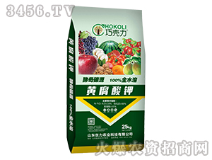 �S�����-�ɚ���-���ŷ���