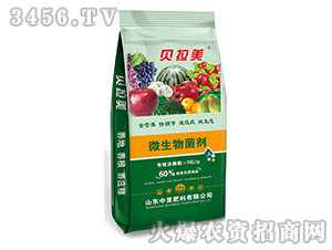 ΢�������-ؐ����-���ŷ���