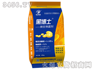 ΢�������-�ڲ�ʿ-���S����