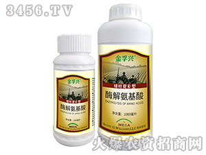 酶解氨基酸-金孚興-孚豐肥業(yè)