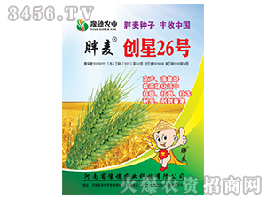 ��(chu��ng)��26̖(h��o)-С���N��-ԥ���r(n��ng)�I(y��)