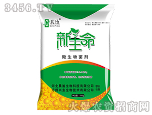 ΢�������-������-����