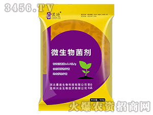 ΢�������-����