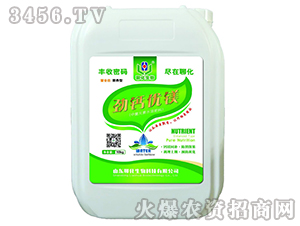 ���}��(y��u)�V-�Ļ�����