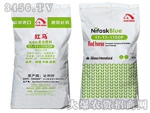 �M�ڏͺϷ� �����Ի��W����17-17-17SOP-KUDAMERAH���_÷��