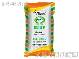 �������28-6-6-���R