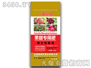 ���䌣�÷�-ʮ������-�����_