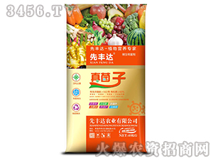 ֲ��I�B(y��ng)����-�����-���S�_