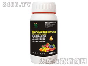 ���2̖�������ф���-�S����