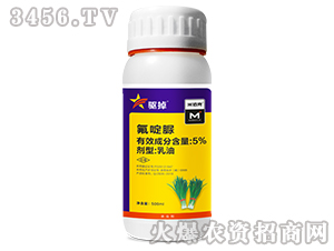 5%���������-�(q��)��-��������